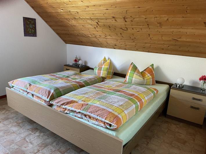 Hotel für 5 Personen, mit Balkon in Schweich an der Römischen Weinstraße - 4