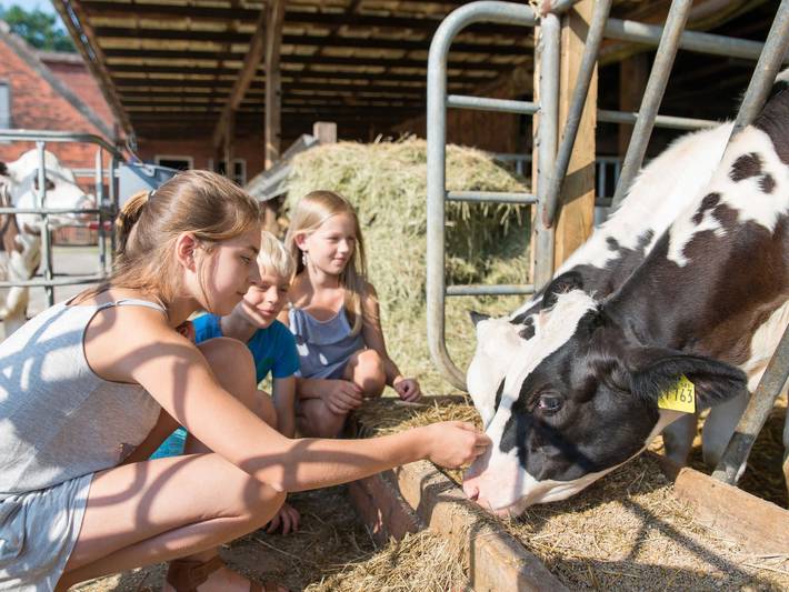 Bauernhaus für 6 Personen, mit Garten, kinderfreundlich in Elbe-Weser - 3