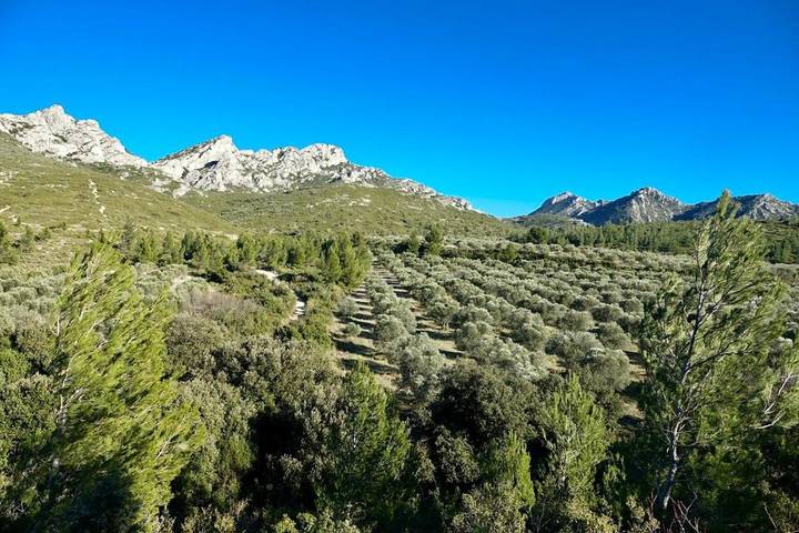 Location de vacances pour 2 personnes, avec vue ainsi que piscine et jardin à Saint-Étienne-du-Grès - 2