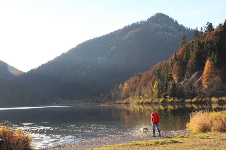Ferienwohnung für 4 Personen, mit Balkon/Terrasse und Balkon, mit Haustier in Ruhpolding - 2