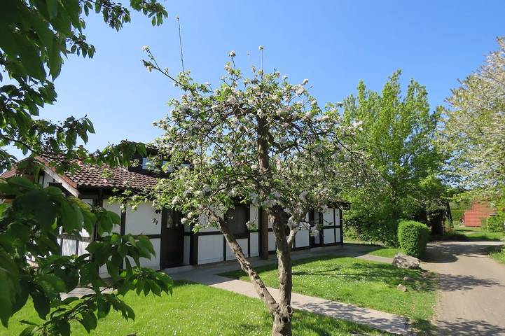 Ferienhaus für 4 Personen, mit Garten und Terrasse in Hollern-Twielenfleth