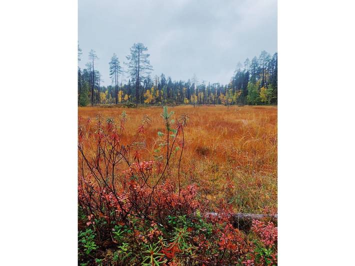 Location de vacances pour 8 personnes