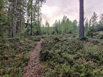 Holiday Home for 6 People in Ljusnarsberg, Central Sweden, Photo 4