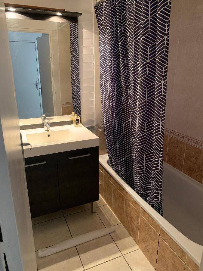 Gîte pour 4 personnes, avec terrasse dans Gare de Lyon Part Dieu - 3