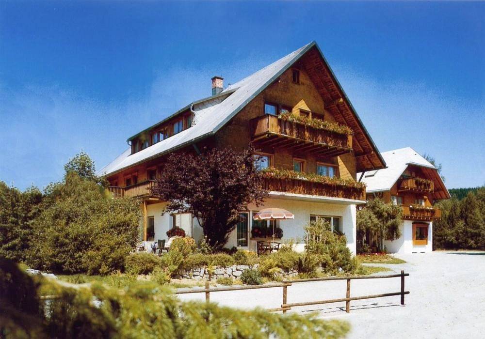 Naturion Hotel Hinterzarten in Hinterzarten, Forêt-Noire du Sud