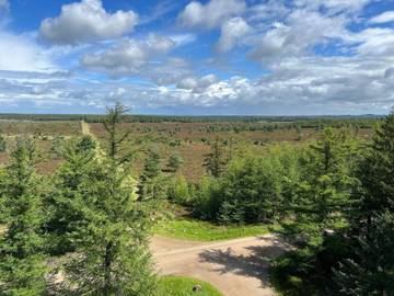 Ferieudlejning til 6 Personer i Vejen, Billede 4