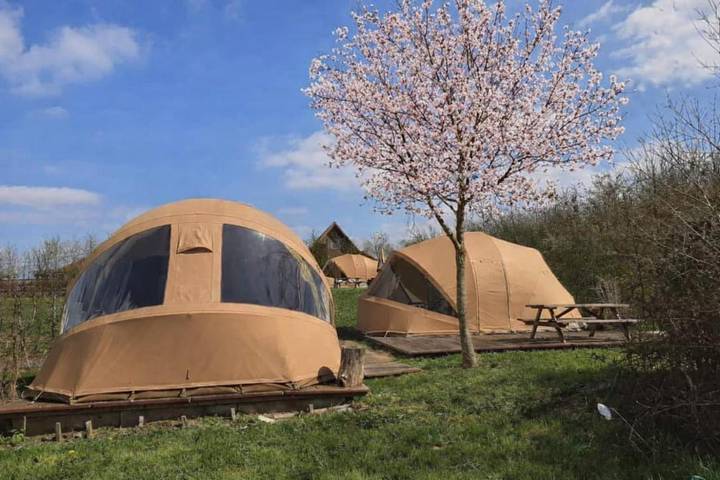 Gîte pour 5 personnes, avec piscine et vue ainsi que jardin et sauna dans Westouter - 2