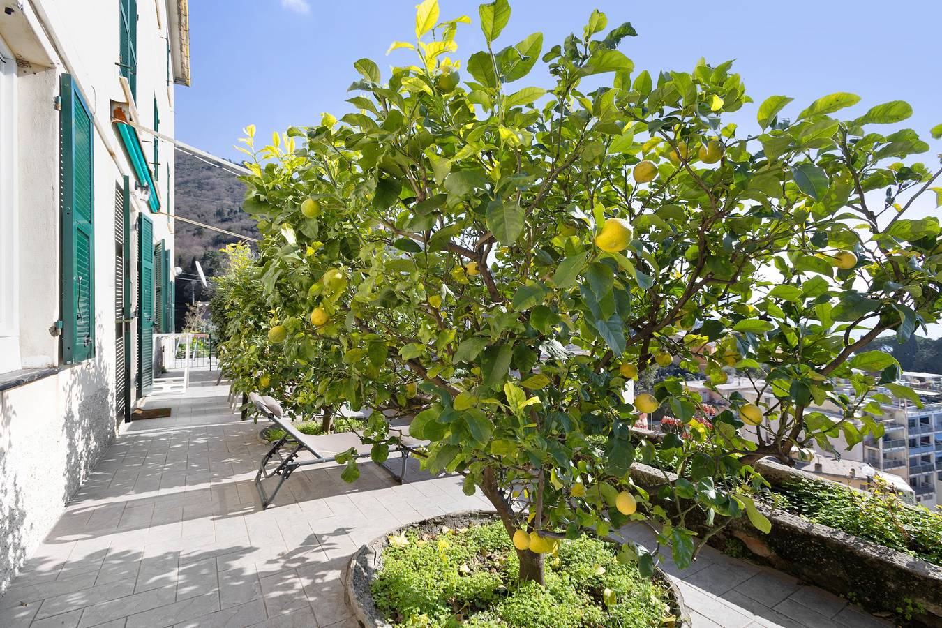 Ganze Wohnung, Ferienwohnung 'Gli Ulivi Di Bogliasco - Ulivi 3' mit Meerblick, Wi-Fi und Klimaanlage in Bogliasco, Ligurische Küste