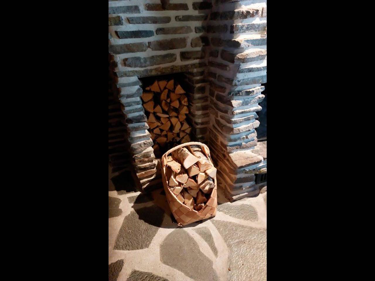 Villihanhi in Kuusamo, Nordösterbotten