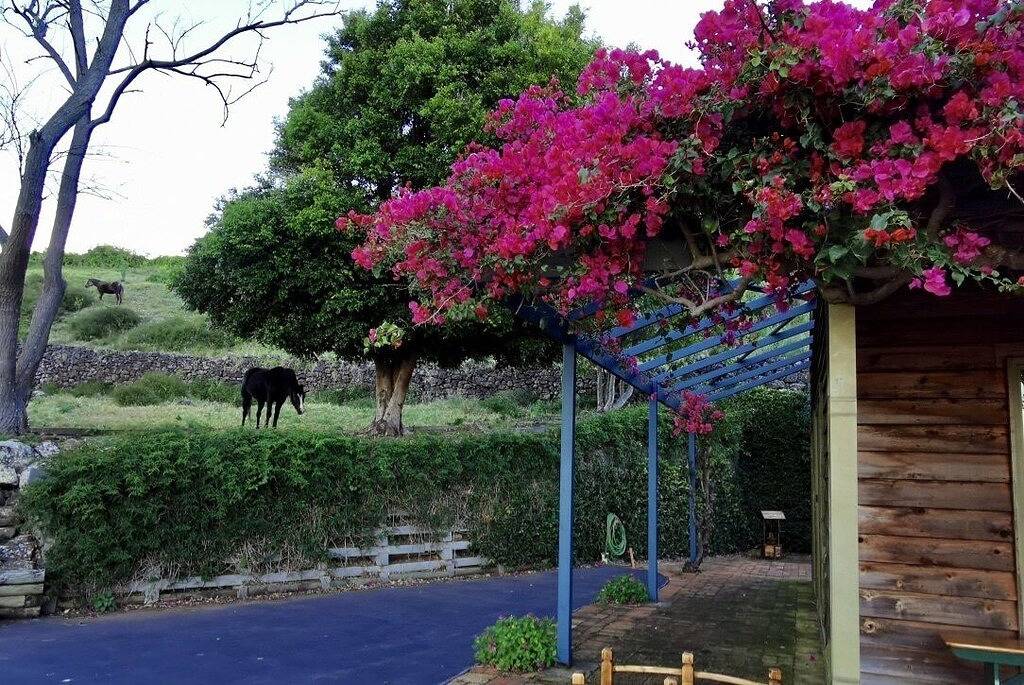 Kiama's Secret Cottage mit Blick auf das Meer und den Leuchtturm in Illawarra, New South Wales
