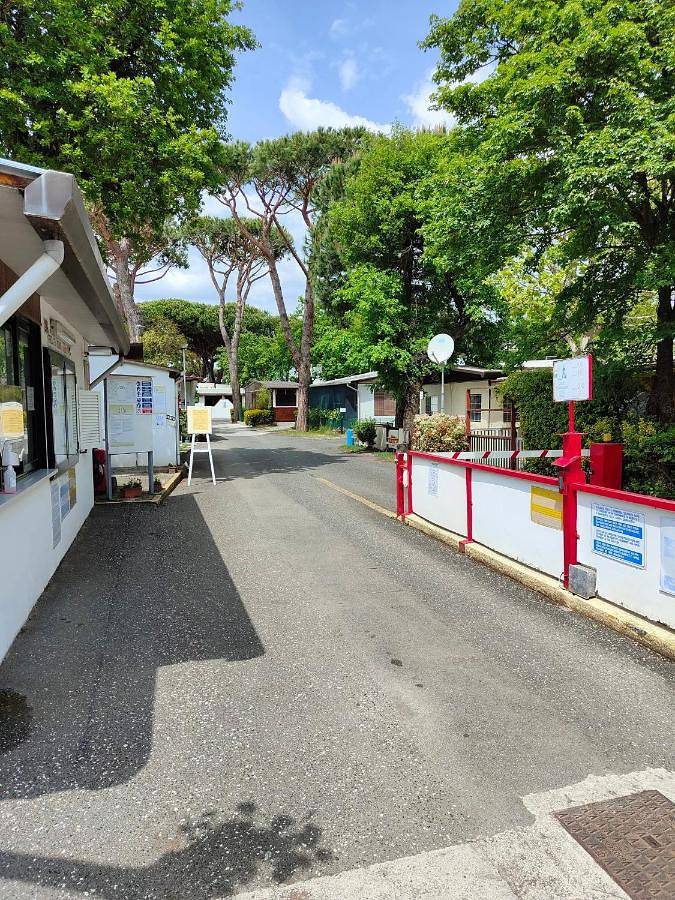Bungalow für 6 Personen, mit Terrasse und Pool, mit Haustier an der Versilia - 4