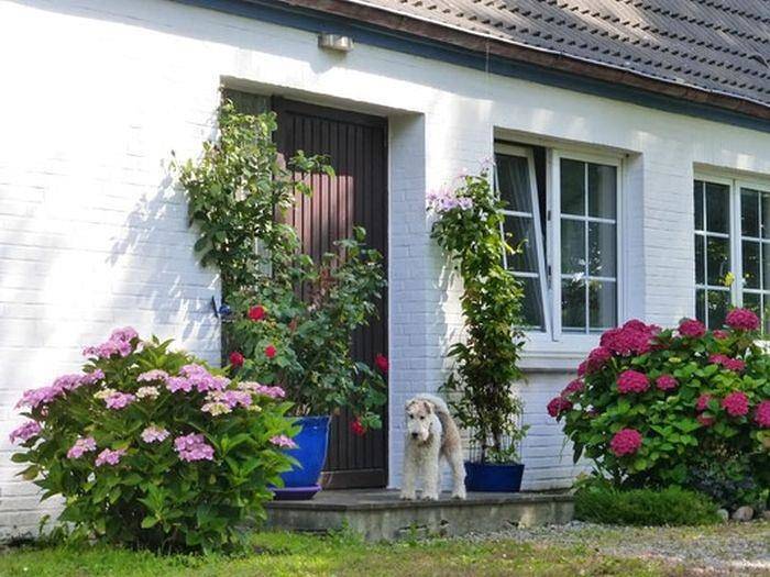 Ferienwohnung für 2 Personen, mit Garten, mit Haustier in Osterhever - 2