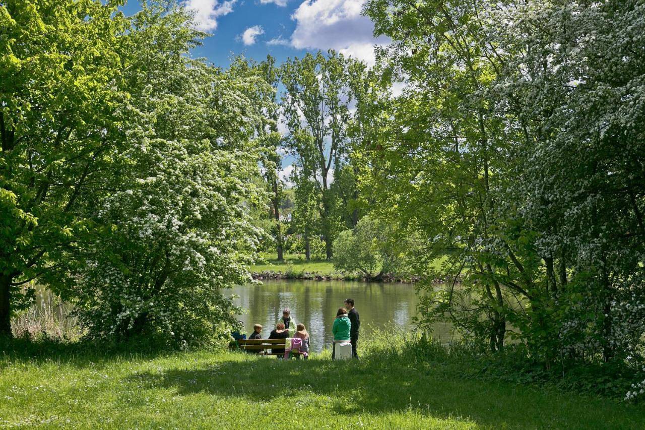 Knaus Campingpark Frickenhausen in Frickenhausen am Main, Franconian Wine Country