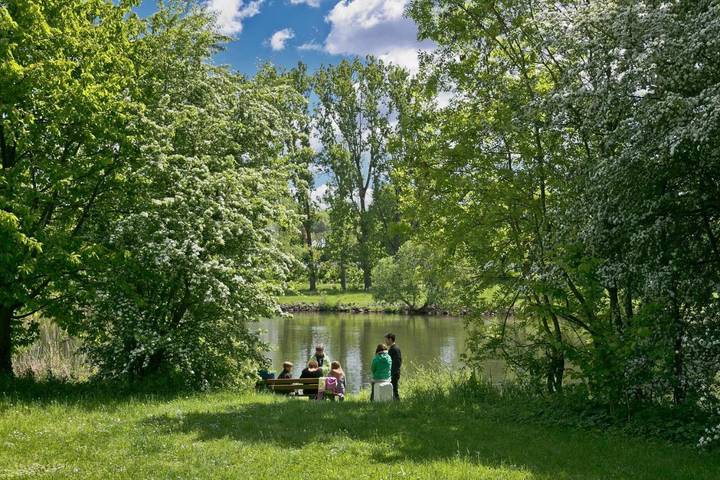 Camping für 4 Personen, mit Terrasse und Pool in Franken - 4