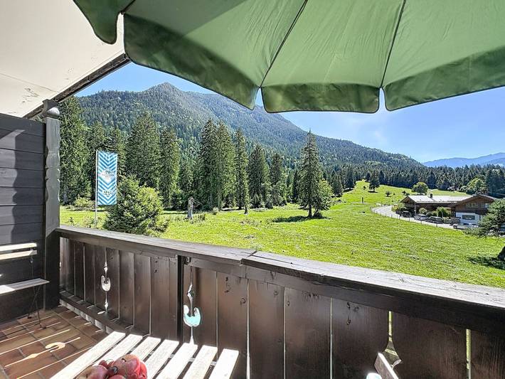 Ganze Wohnung, Edelweiss in Mühldörfl, Farchant