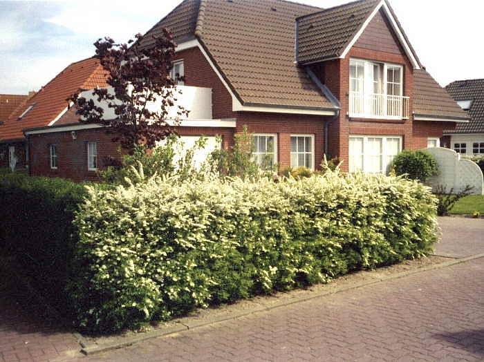 Entire vacation apartment, Haus Mohr - 3-Raum-Fewo 537/103 in Büsum, Dithmarschen