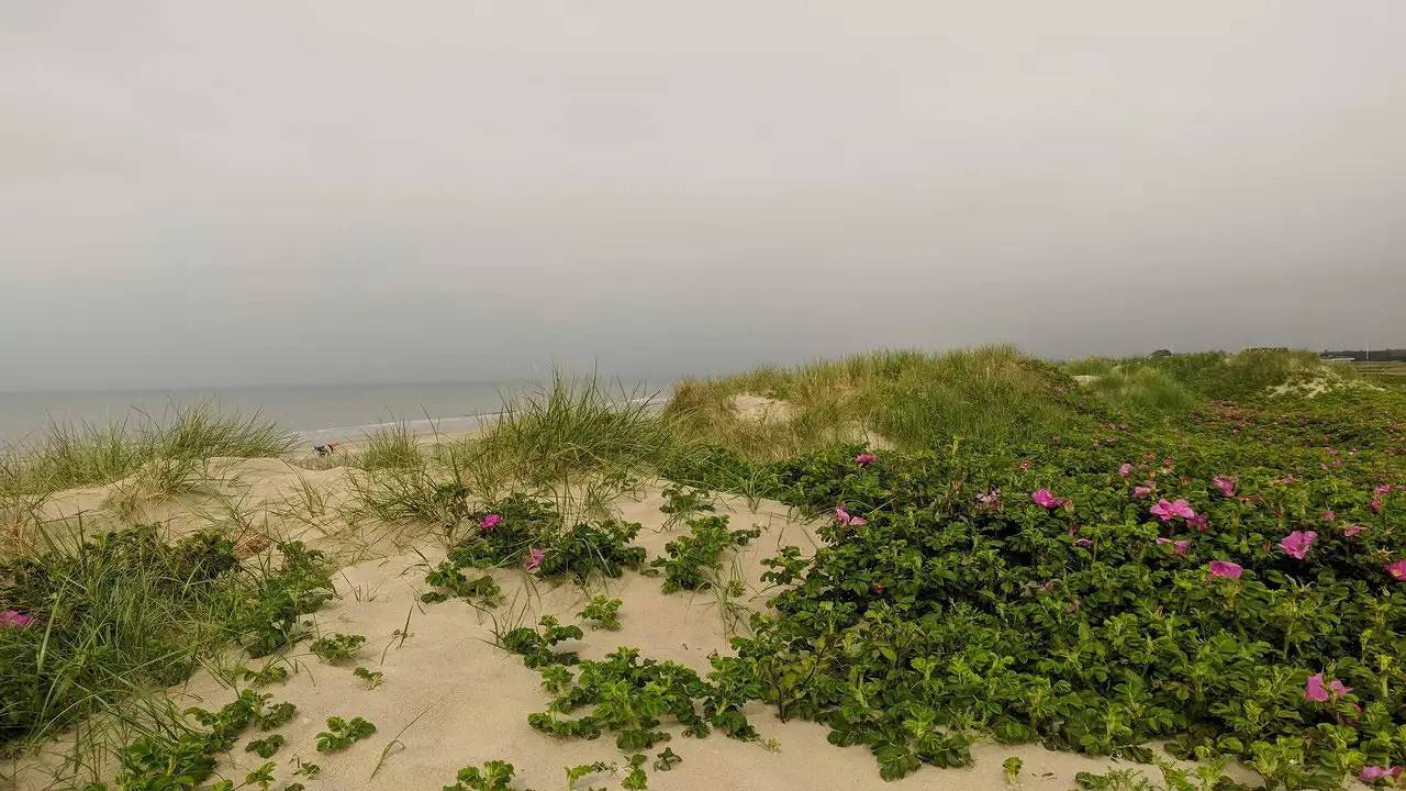 Ferienhaus für 10 Personen (180 m²) in Blåvand in Blavand, Varde