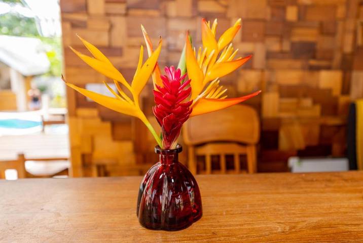 Maison d’hôte pour 3 personnes, avec jardin et piscine aux Seychelles - 3