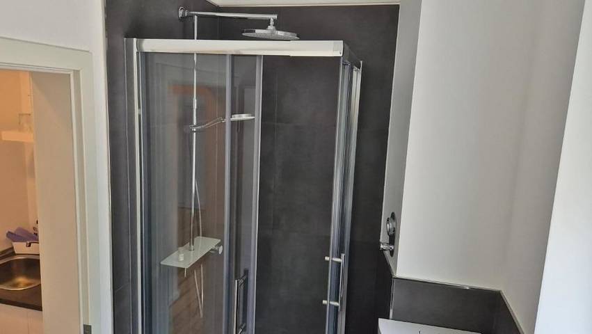 Ganze Ferienwohnung, City Central Apartment House - Apt 5 in Kaiserslautern, Saar-Nahe-Bergland