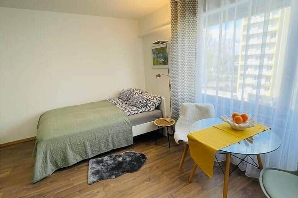 Entire apartment, Superbe Studio: Basel-Tram-Bus Airport Ch/Fr/De in Saint-Louis, Mulhouse region