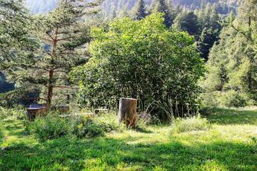 Vakantiewoning voor 6 Personen in Belvédère, Zee-Alpen, Afbeelding 2