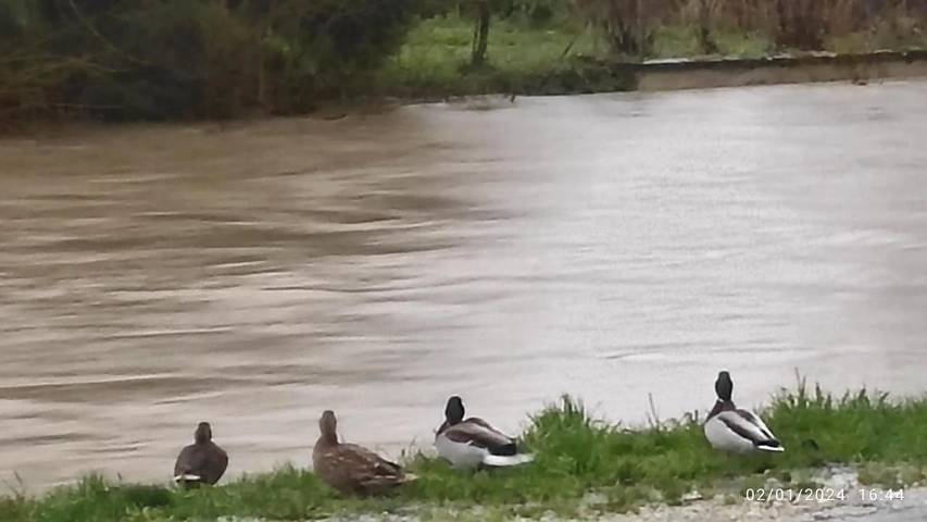 Chambre d’hôte pour 2 personnes, avec vue dans la Meuse - 2