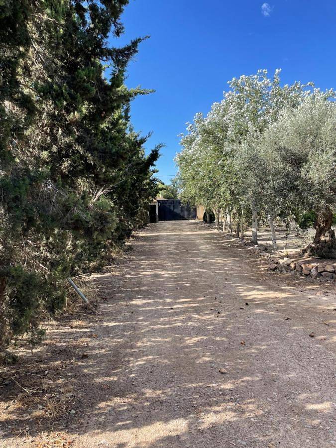 Casa rural para 2 personas, con vistas además de piscina y jardín, Se admiten mascotas en Provincia de Almería - 3
