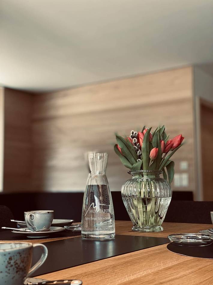 Ganze Ferienwohnung, Scheunenappartement in Vandans, Schruns-Tschagguns