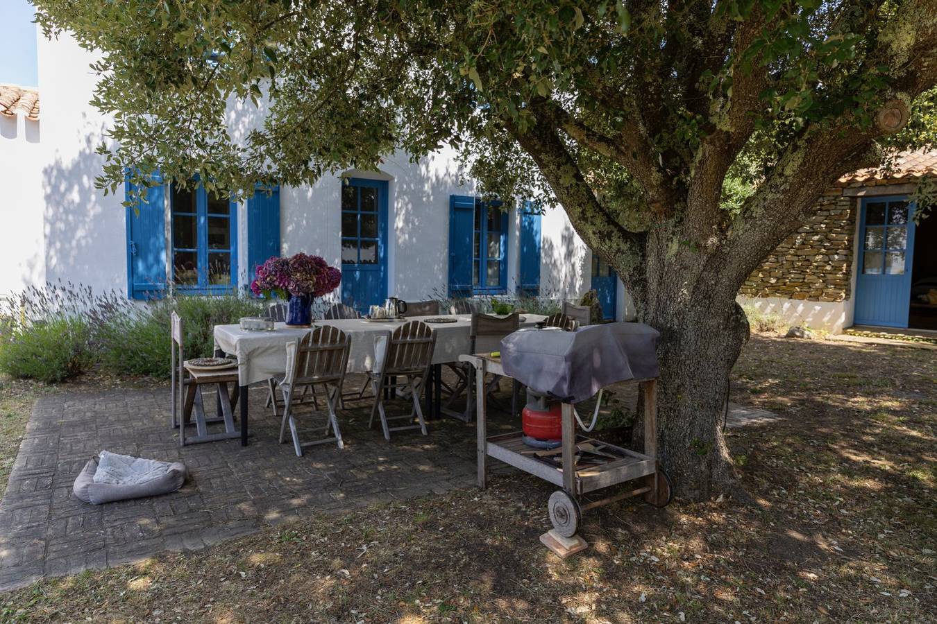 Une maison traditionnelle à l'Île d'Yeu,jusqu'à 10 couchages in Île d'Yeu, Vendée
