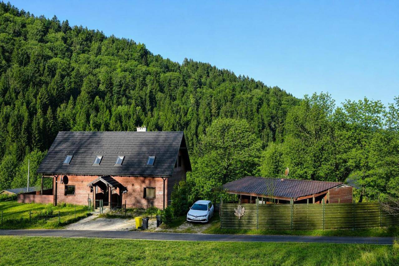 Królikówka in Sienna Czarna Góra, Sudety (Polska)