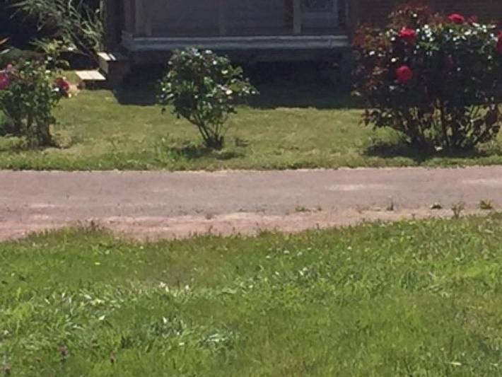 Bungalow für 6 Personen, mit Kinderpool, kinderfreundlich auf Île d'Oléron - 4