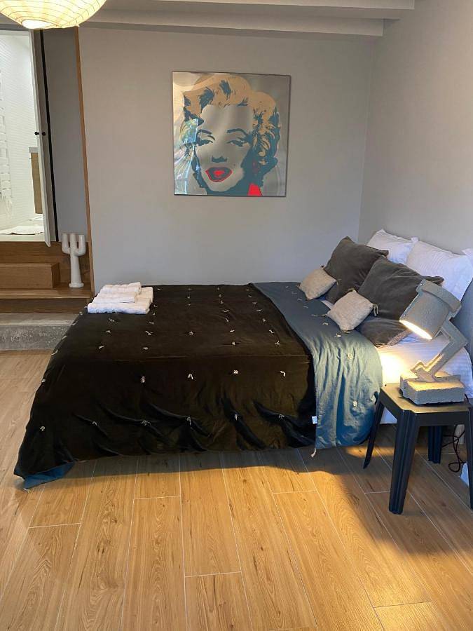 Location de vacances pour 7 personnes, avec jardin à Chisseaux - 3