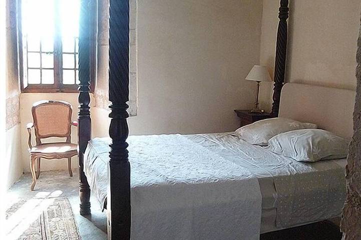 Château pour 17 personnes, avec jardin dans le Tarn - 2