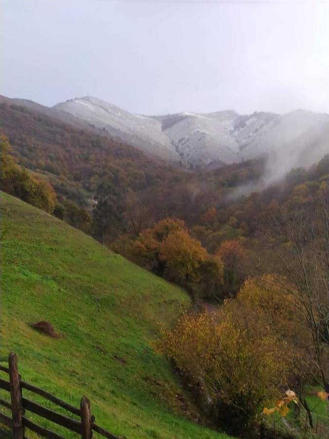 Casa rural para 3 personas, con terraza y vistas, Se admiten mascotas en Comarca del Caudal - 4