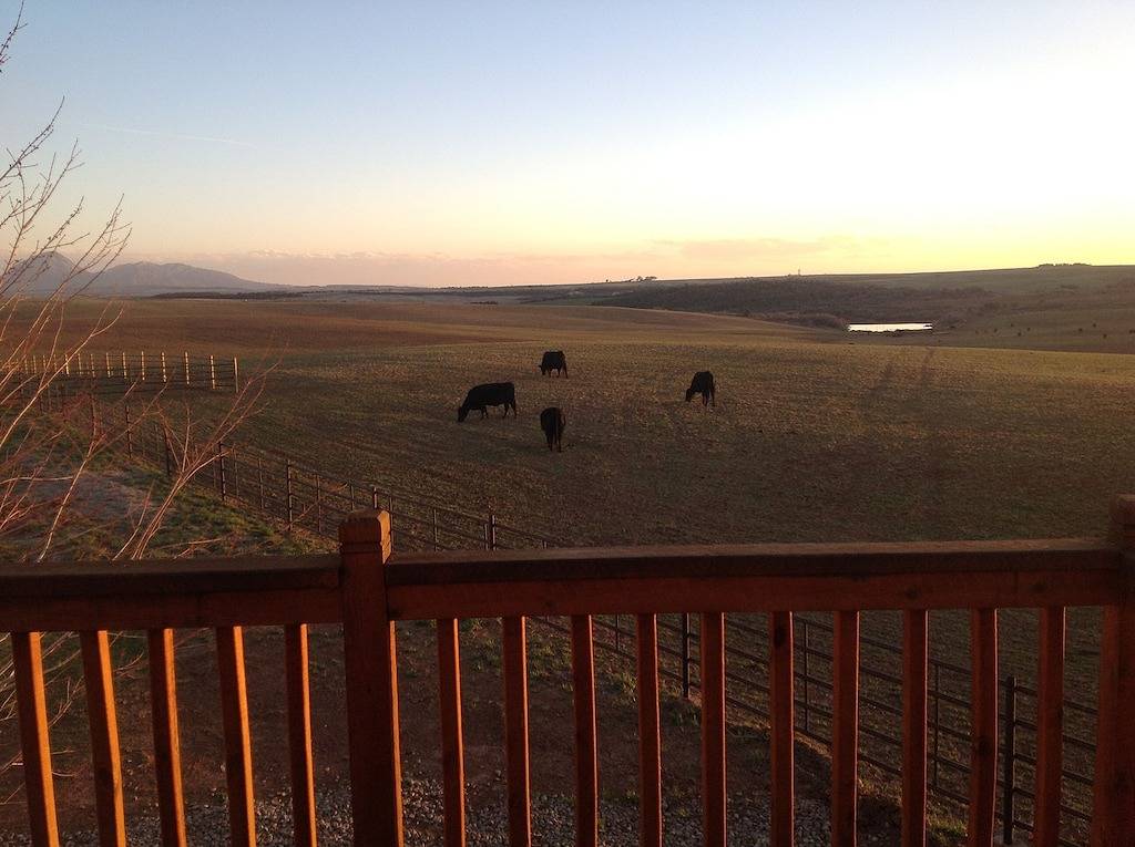 Viel Spaß mit Cabin on Working Farm!  1 Std. nach Telluride, 1. 5 Std. nach Moab, Utah. in Yellow Jacket, Montezuma County