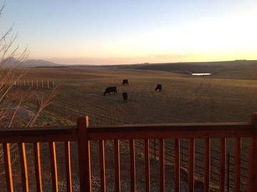 Cottage Rentals for 6 Guests in Yellow Jacket, Southwest Colorado, Picture 2