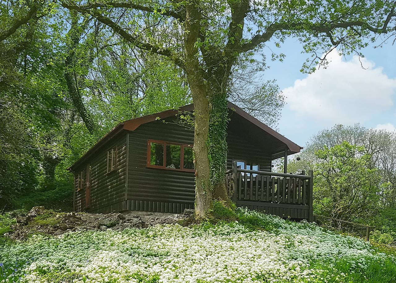 Ash Lodge in Carmarthenshire