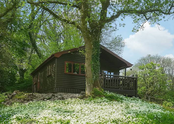 Gîte pour 4 personnes dans Pays de Galles - 3