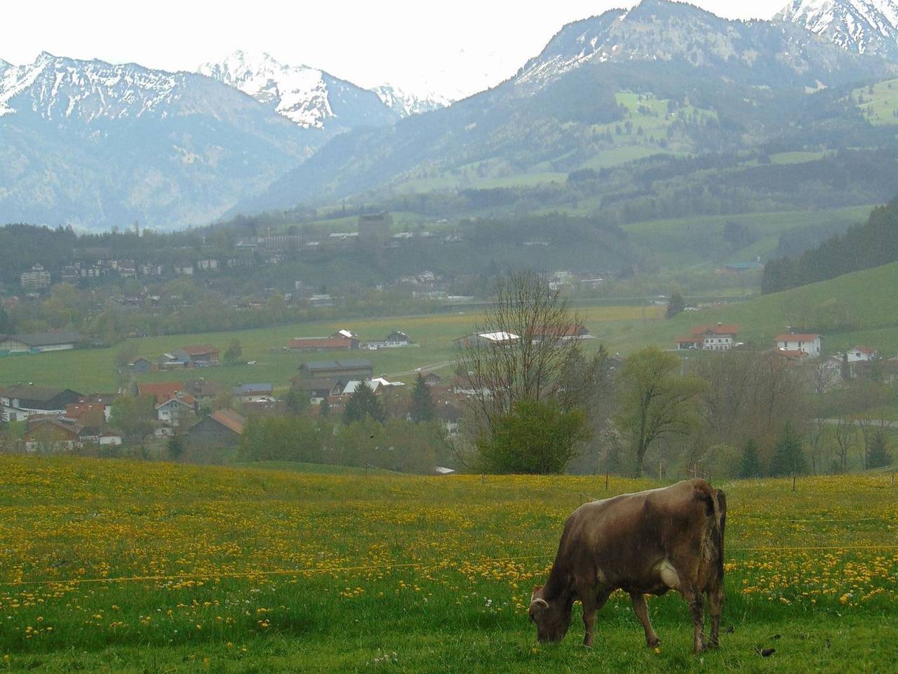 Ganze Ferienwohnung, Landhaus Kogel - Ferienwohnung 2 Dg in Ofterschwang, Bayerisch Schwaben