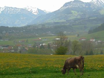 Hütte für 3 Personen in Ofterschwang, Hörnerdörfer, Bild 4