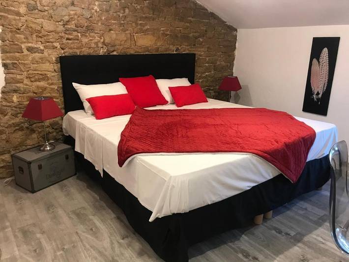 Hôtel pour 2 personnes, avec vue et terrasse, animaux acceptés à Neuville-sur-Saône - 2