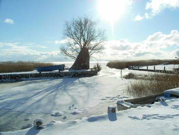 Bungalow für 5 Personen in Koserow, Usedom, Bild 2
