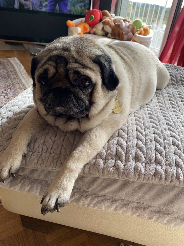 Location de vacances pour 2 personnes, avec vue sur le lac et balcon près des Châteaux de la Loire - 4