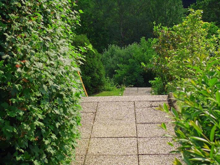Ferienwohnung für 5 Personen, mit Terrasse und Garten sowie Ausblick in Frankenau - 2