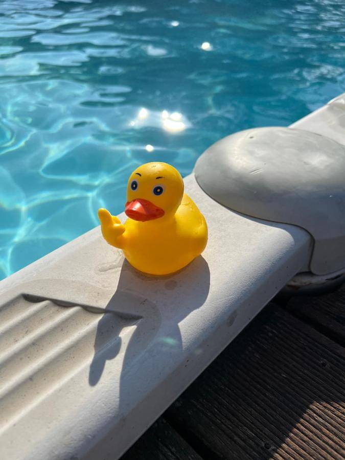 Location de vacances pour 9 personnes, avec Terrasse et Jacuzzi ainsi que Jardin et Piscine à Poperinge - 3