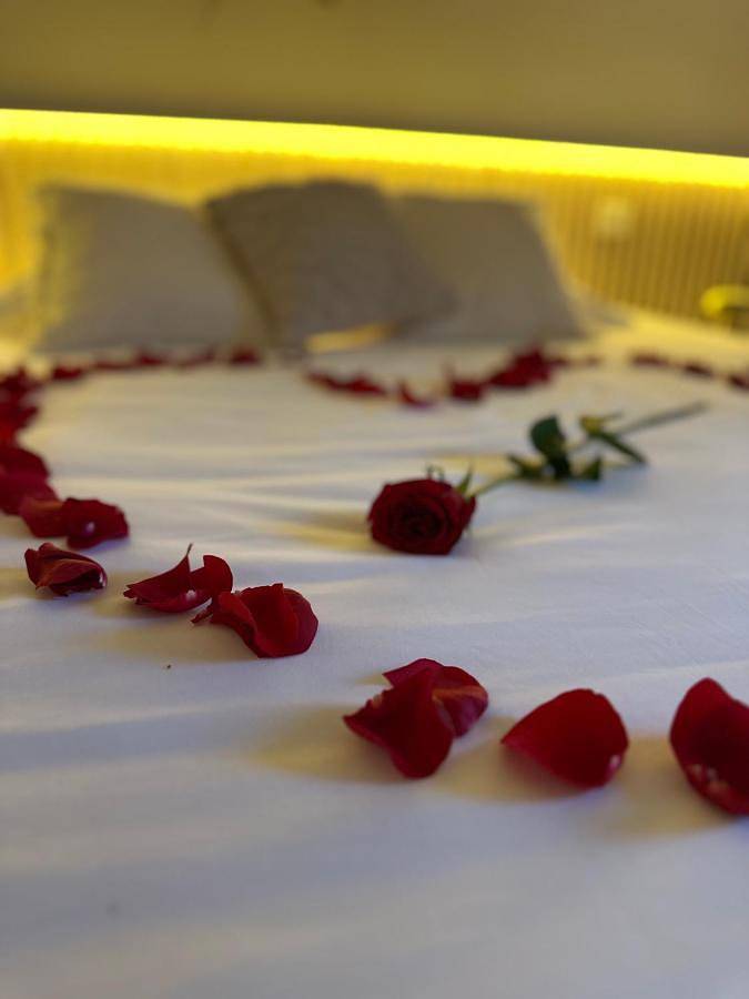 Gîte pour 5 personnes, animaux acceptés à Lézignan-Corbières - 3