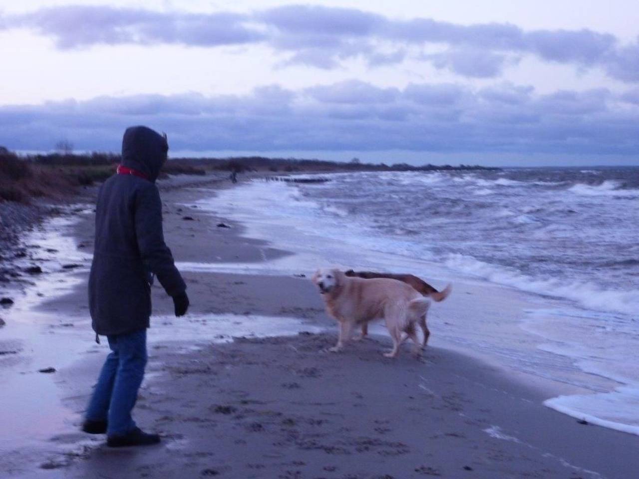 Dänemark in Gelting, foto 6