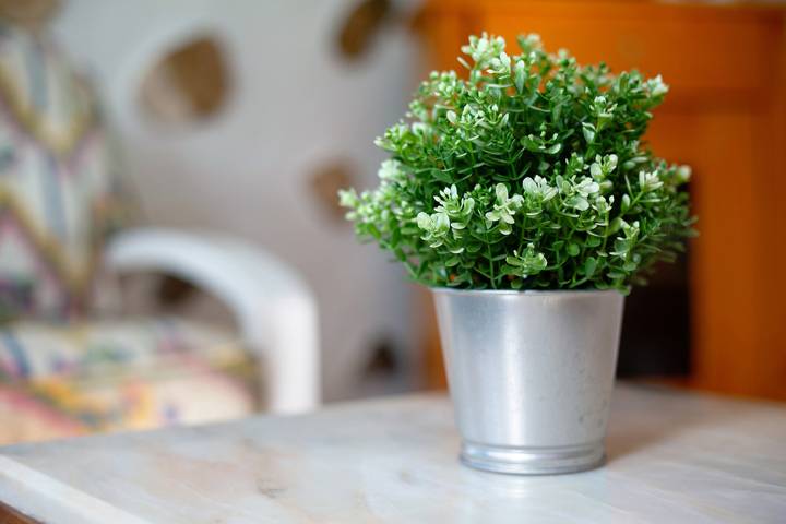 Ferienhaus für 6 Personen, mit Garten auf Fuerteventura - 4