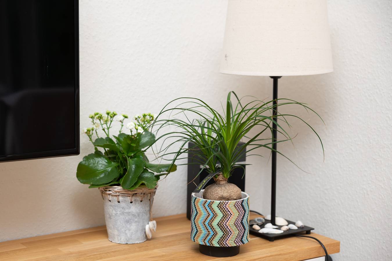 Ferienhaus - Horizon 3 | Renesse in Renesse Strand, Renesse