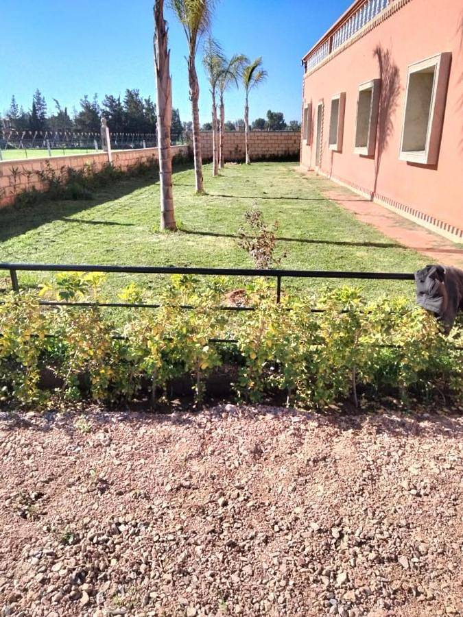 Location de vacances pour 10 personnes, avec piscine et terrasse, animaux acceptés dans Ben Slimane - 3